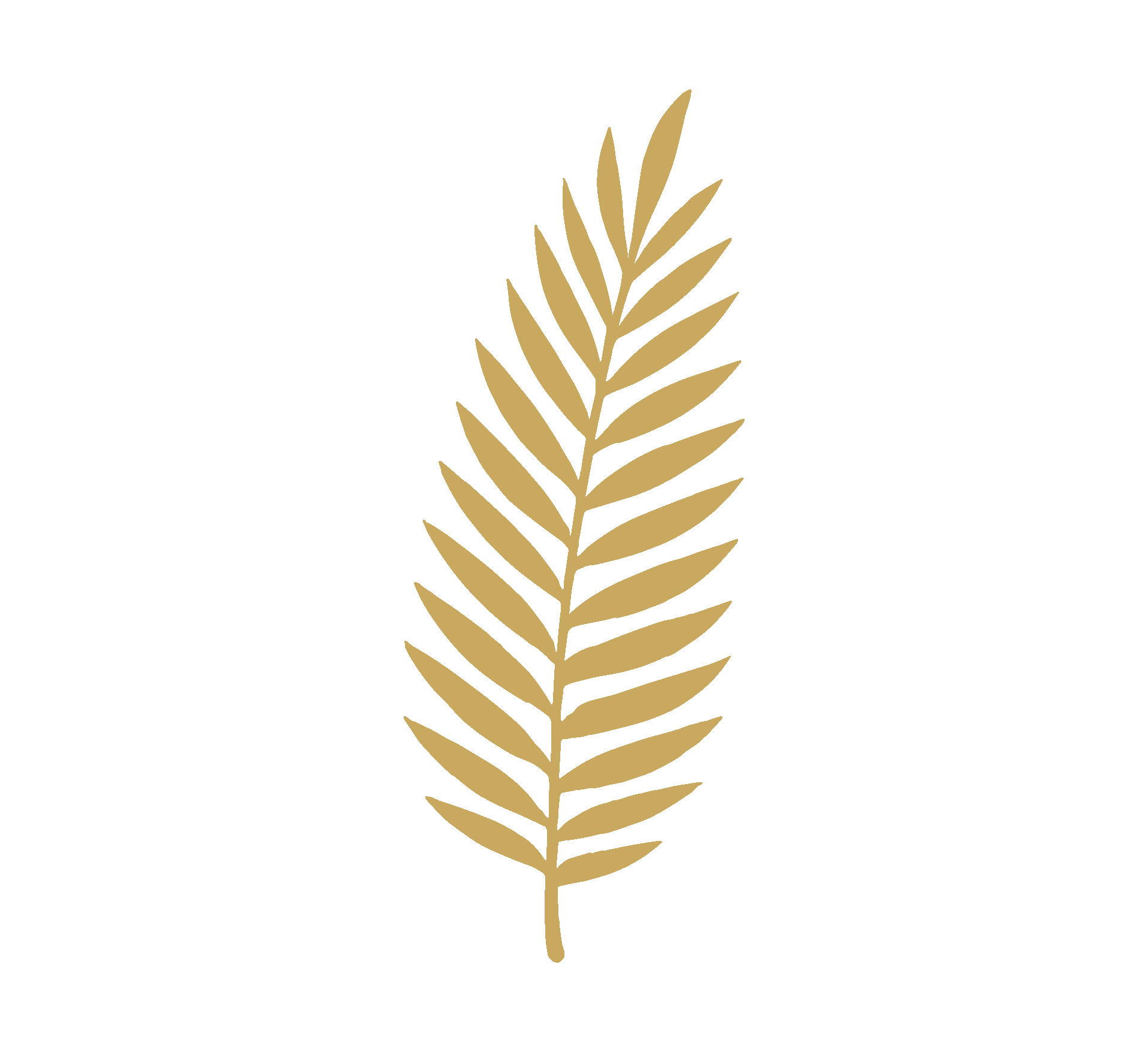 Conservatory decorative brand ornament